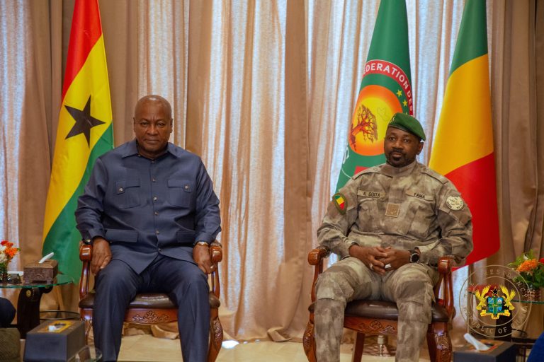 President Mahama and Malian counterpart hold bilateral discussions