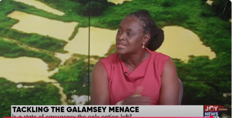 EPA’s capacity alone can’t match galamsey fight – Prof Browne Klutse urges collaboration