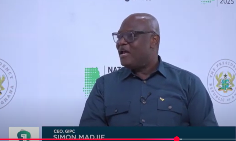 GIPC CEO advocates diversification of Foreign Direct Investment