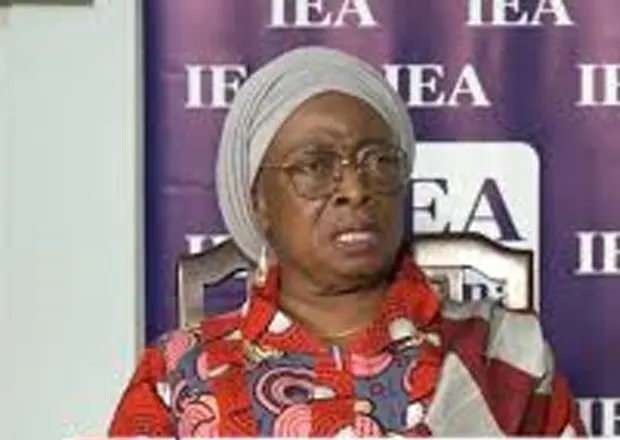 Review Laws That Vests Mineral Resources In The President – Sophia Akuffo