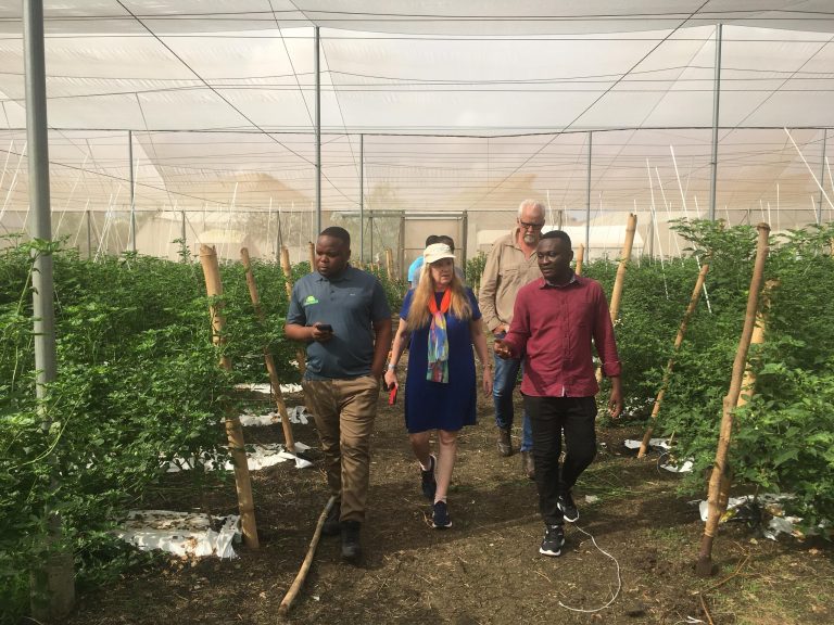 Fresh Logistics, Demeter Ghana unite for excellence in greenhouse farming