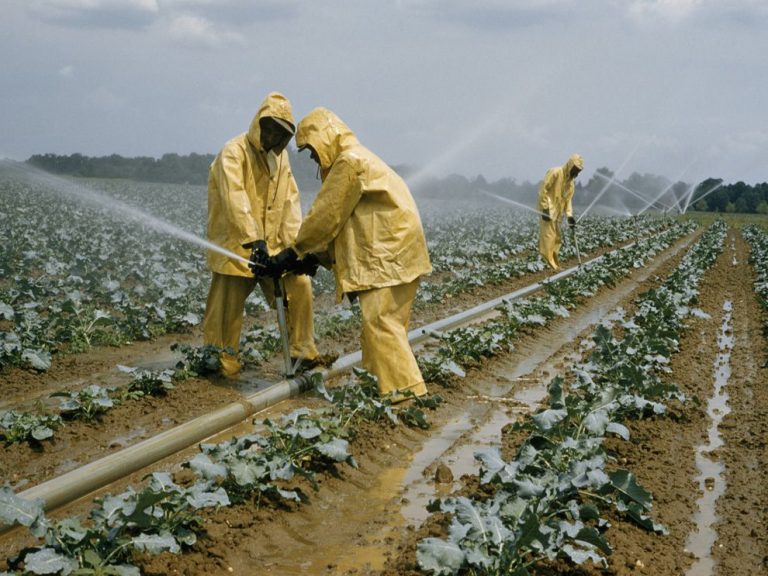 Let’s get Ghana’s agriculture sector improved to create jobs – Dr Domfeh