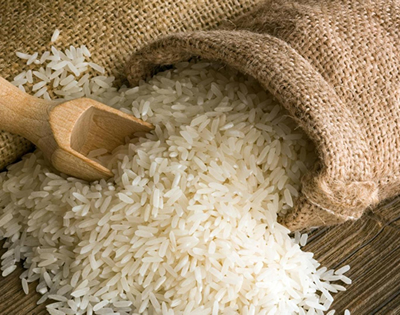 President unveils agricultural transformation agenda to reduce $2b annual food import bill – MP