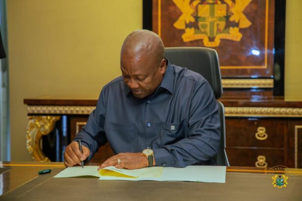 President Mahama appoints new Government Statistician
