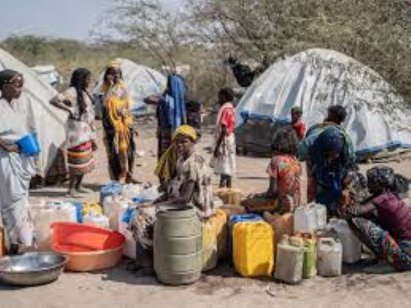 UN food agency cites funding gap as it halts aid to 650,000 in Ethiopia