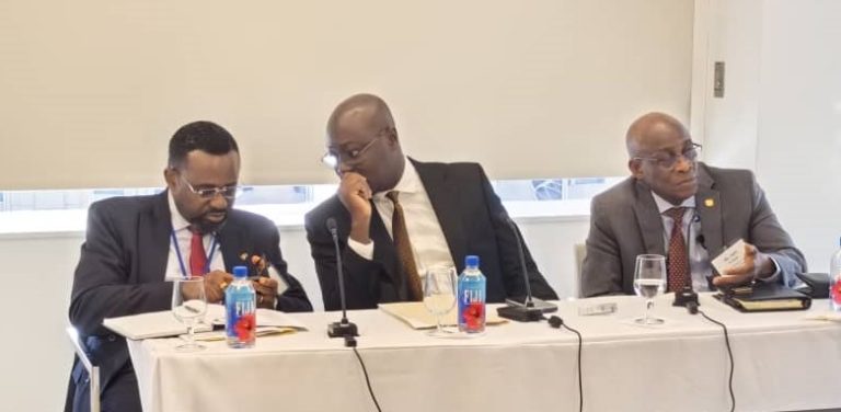 Ghana assures investors of stable macroeconomy at Spring Meetings