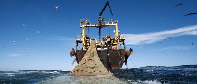 Fisheries Ministry suspends licenses of 4 industrial trawl vessels