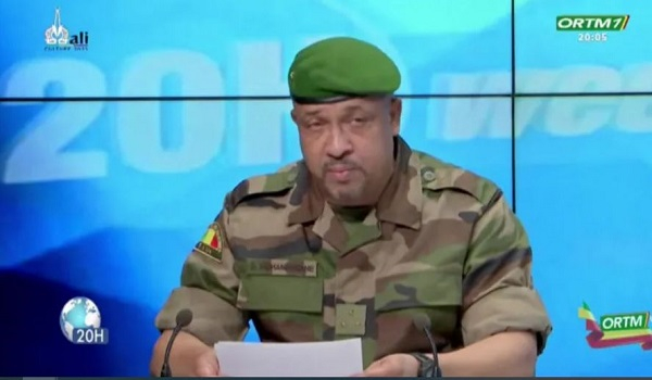 Algeria and Mali block flights from each other after drone shot down