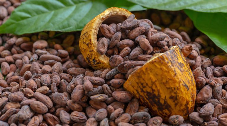 Ghanaian Exporters on Edge as New US Tariff Threatens Trade Prospects