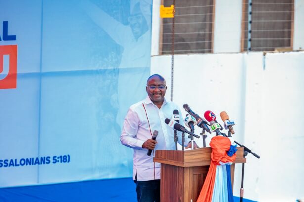 Bawumia is blaming everyone but himself for NPP’s 2024 defeat – Omane Boamah