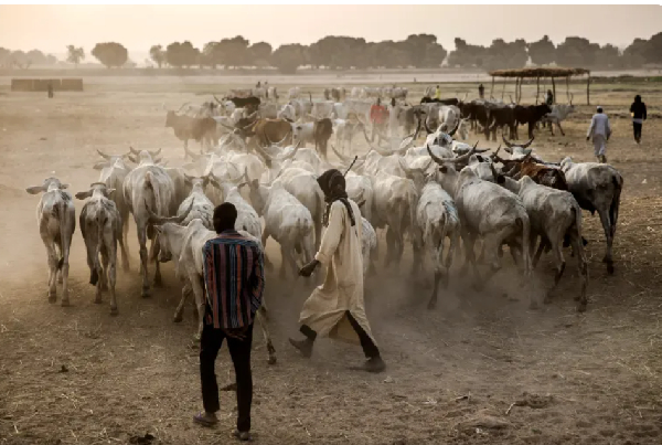 Herder-farmer clashes in Nigeria kill at least 17