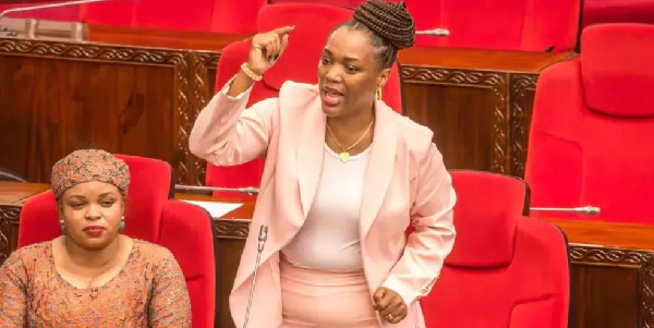 MP criticises ‘no reforms, no election’ campaign