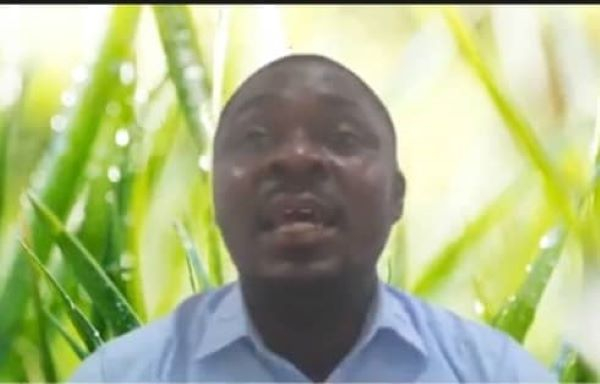 Galamsey has led to 50% reduction in cocoa production