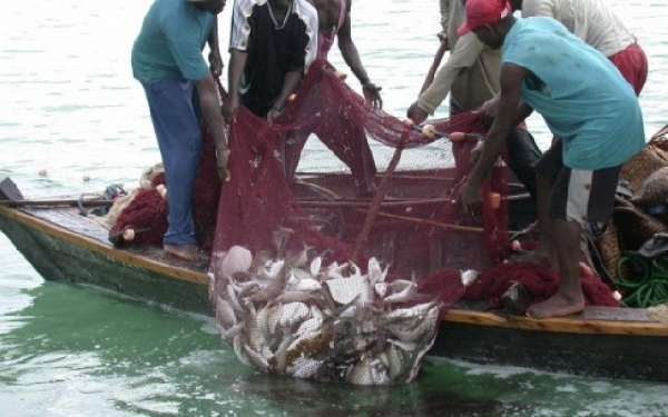 Cartels, political cronies ‘hijack’ premix fuel; fisherfolk don’t benefit