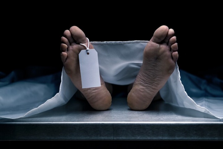 A Busload of Politicians Dead?