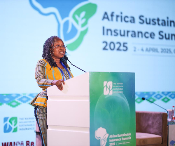 NIC Commissioner rallies Africa’s insurance regulators on ESG
