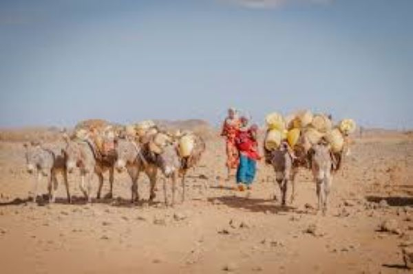 In Kenya, girls are sold into marriage to stave off starvation from drought