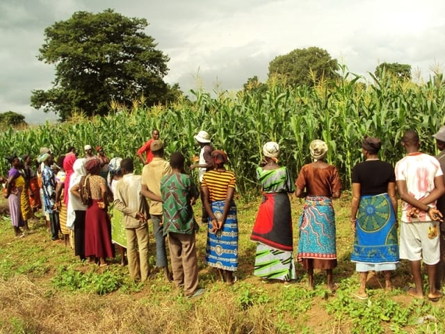 Gov’t to Disburse $1 Million to Peasant Farmers in Northern Ghana – Agric Minister Announces