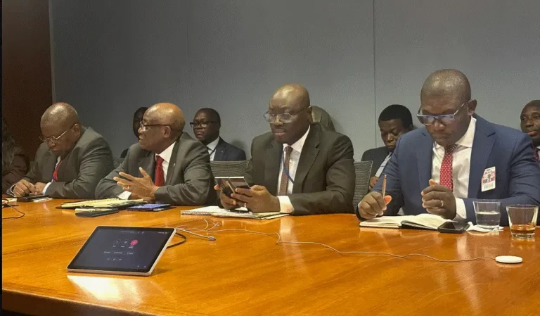 Ghana’s energy sector is currently the biggest economic risk we face – Finance Minister