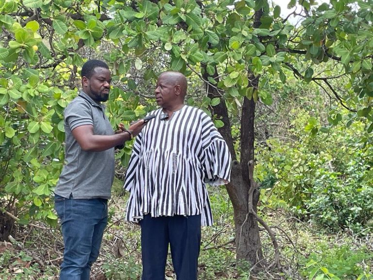 Cashew farmers appeal for processing factory