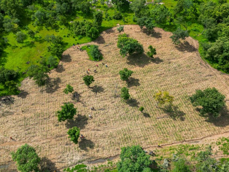 ACE4ES Consortium advocates enhanced agriculture to Ghana’s Nationally Determined Contributions