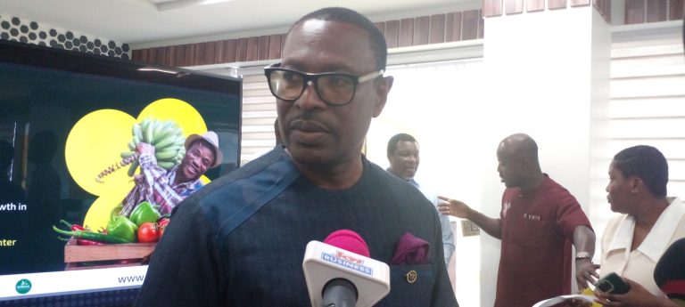 24-Hour Economy to provide on-lending support to agribusinesses