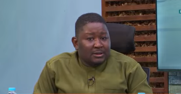 Full privatisation of ECG not the way to go