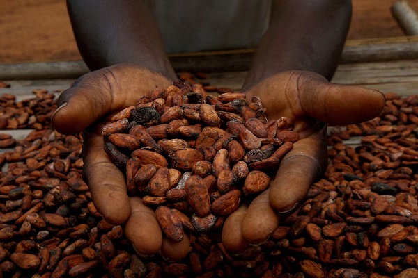 Ivory Coast threatens more expensive cocoa in response to US tariffs