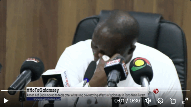 We didn’t vote for you to cry – Miracles Aboagye takes on Lands Minister
