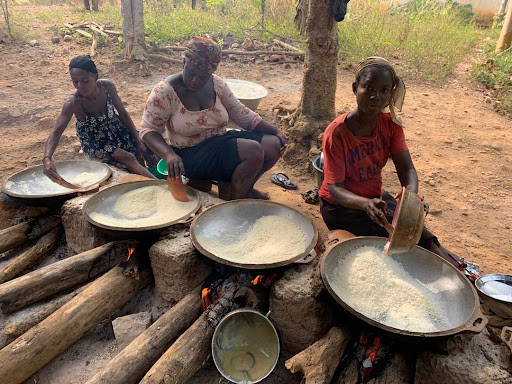 Gari production declines in Savannah Region amid rising costs