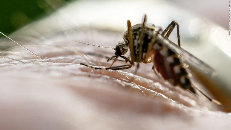 Ghana records 45% reduction in malaria among children under five
