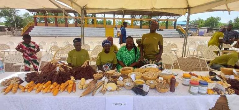 ‘CORD Ghana champions indigenous seed sovereignty at Bolgatanga Seeds Fair