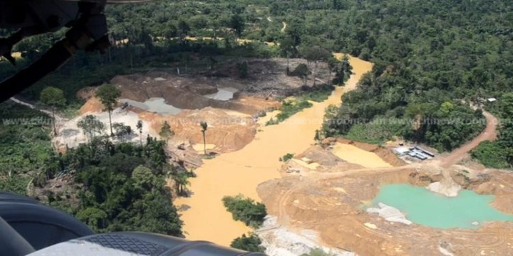 Assist us to protect the forest – Forestry Commission pleads