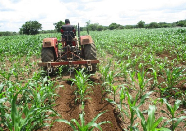 Ghana, Singapore back carbon credit project in Upper West Region