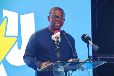 Gov’t hands over ECG revenue, distribution operations to private partner