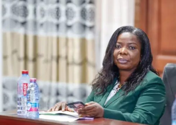 Bee stings have medicinal properties – Expert explains