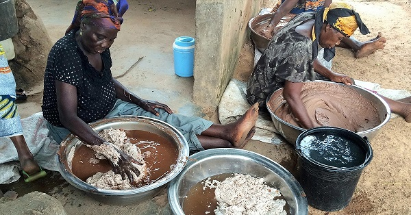 Shea processors call for ban on export of raw shea nuts in Ghana