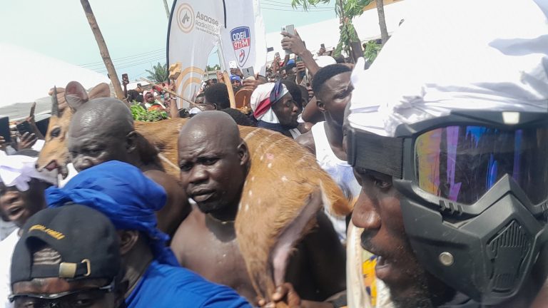 Gallery: 2025 Aboakyer Festival climaxed in traditional glitz