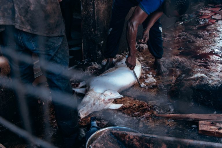 Private company ‘seizes’ million-euro piggery project