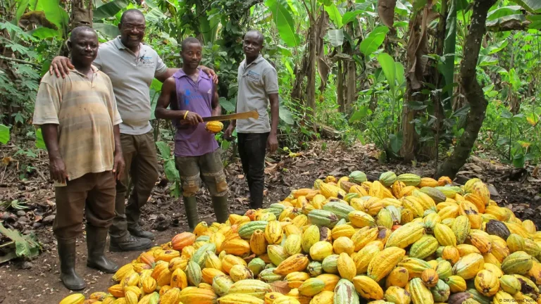 Fludor Ghana expands healthcare coverage for cocoa farmers