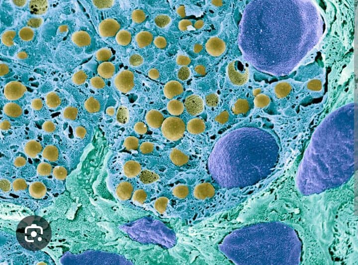 Researchers create a practical new tool for detecting nanoplastics and microplastics