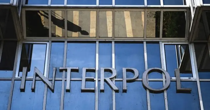Interpol discovers 150 stolen cars from Canada in Ghana, Nigeria, other countries