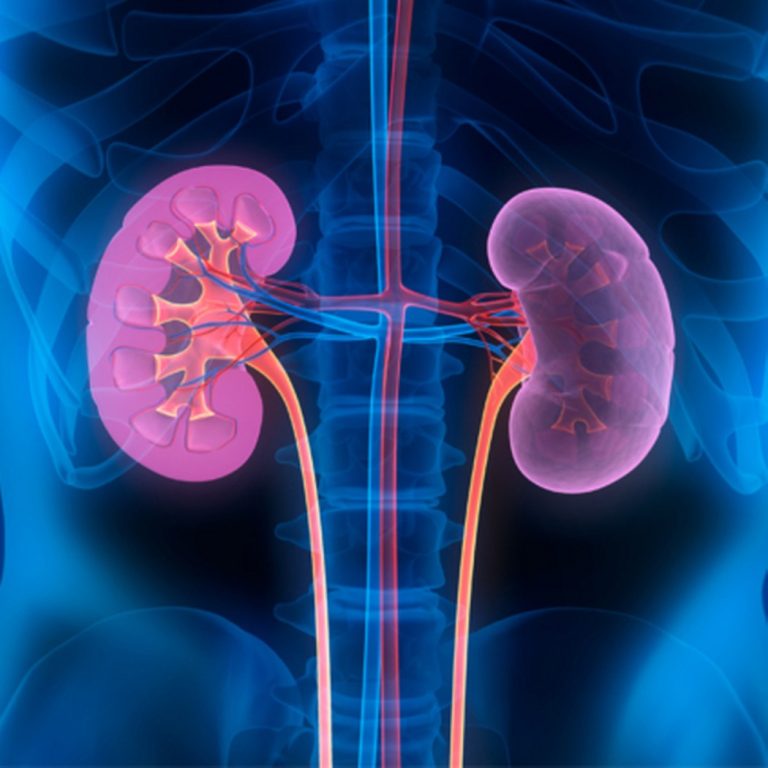 Are your kidneys okay? – Adomonline.com