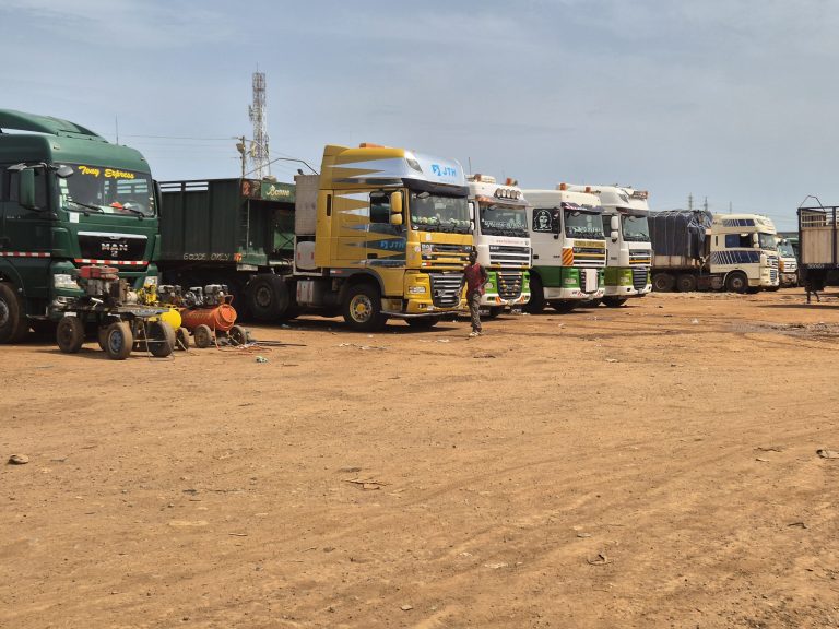 Avoid the harassment of transit truck drivers-Professor Gyampo 
