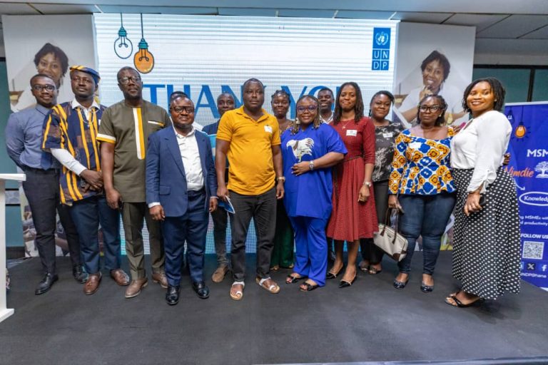 UNDP holds 4th ‘Nimdie Series’ to empower MSMEs