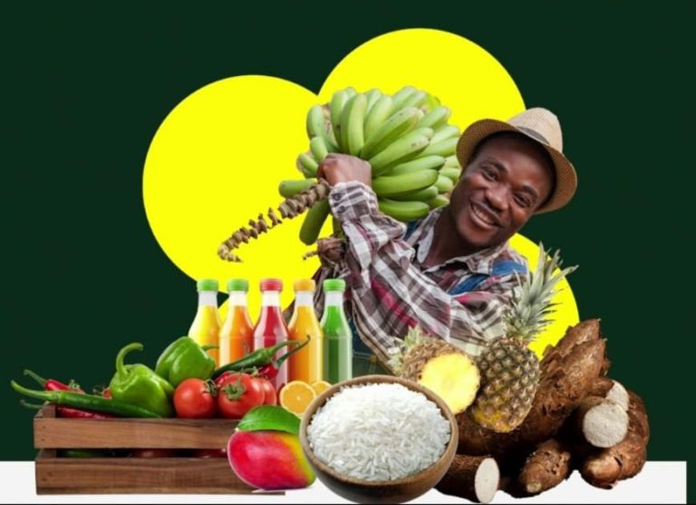 Ghana Horticulture Expo 2025 and the future of agribusiness in a 24-hour economy