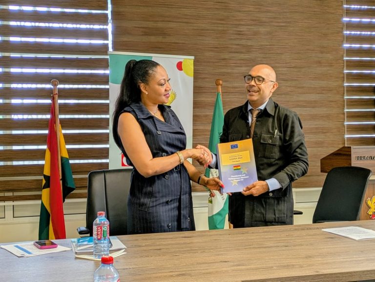 EU Experts Praise Ghana’s 2024 Elections
