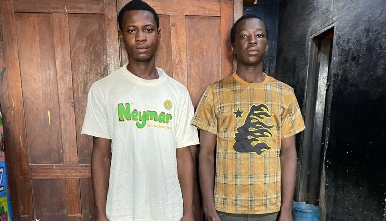Two Jailed five years for theft