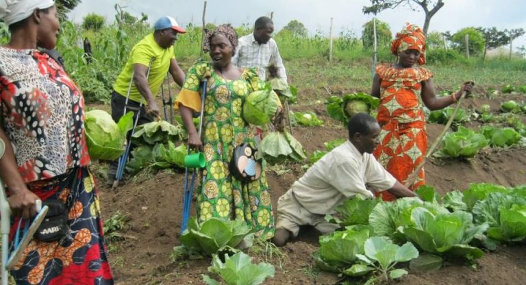 “Twice Marginalised, Yet Full of Potential”: Empowering Women with Disabilities in Ghana’s Agricultural Value Chains  