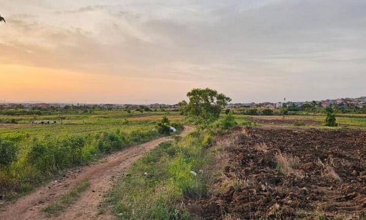 Pres Mahama Urged to Intervene in Land Guards’ Seizure of Weija Irrigation Farms
